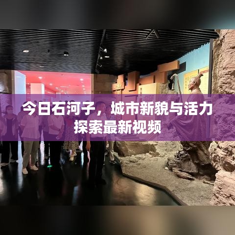 今日石河子，城市新貌與活力探索最新視頻