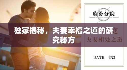 獨(dú)家揭秘，夫妻幸福之道的研究秘方