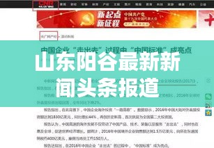 山東陽谷最新新聞頭條報(bào)道