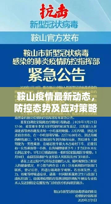 鞍山疫情最新動態(tài)，防控態(tài)勢及應對策略揭秘